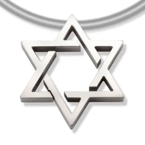 31388-01 TeNo Titanium Pendant -Size of a nickel-(choose chain separately)