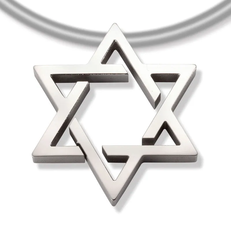 31388-01 TeNo Titanium Pendant -Size of a nickel-(choose chain separately)