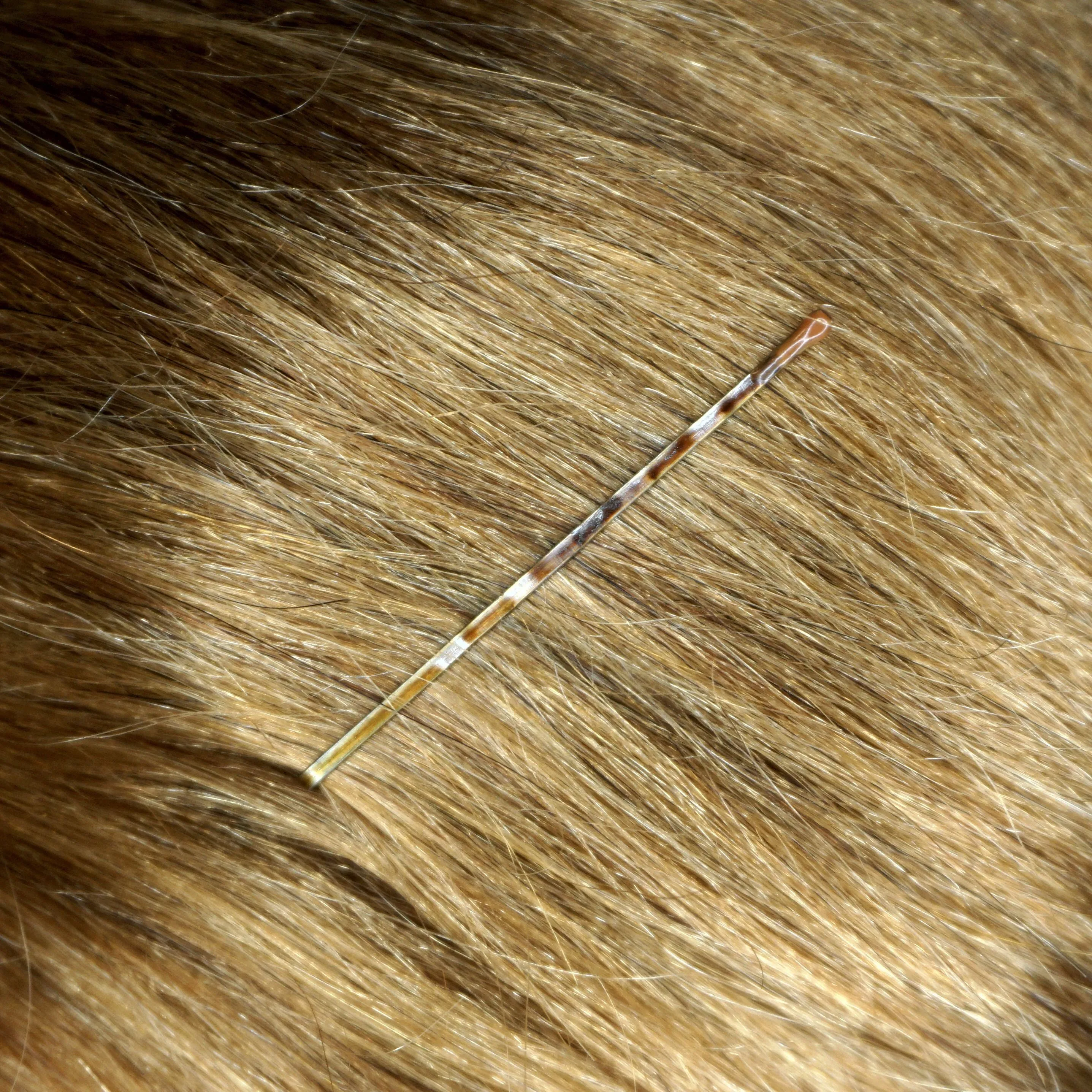 Amelia Beauty Professional Quality Brown Bobby Pins, Made in USA, 180 Count, 2" Long, Strong Grip, Durable Plastic Tips, Comfortable All-Day Wear