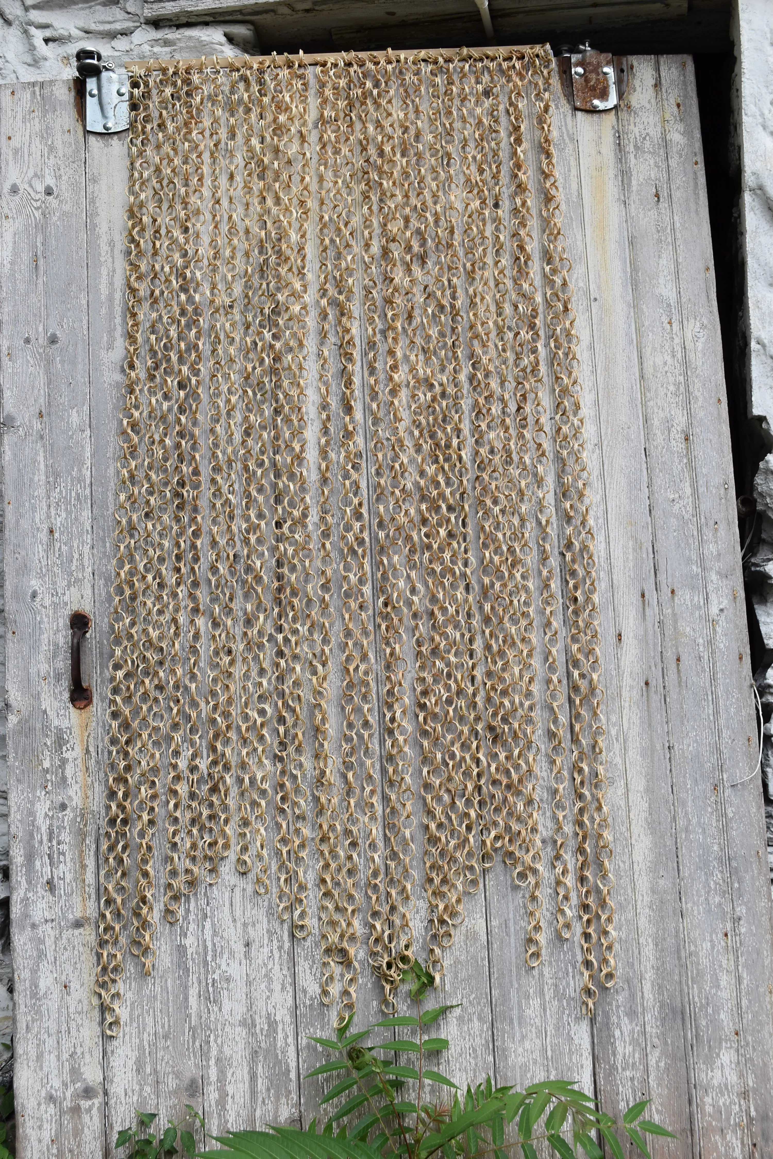 Bamboo Curtain/Screen/Divider