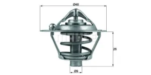 Behr-Mahle Thermostat 82 Deg (Tx10882D)