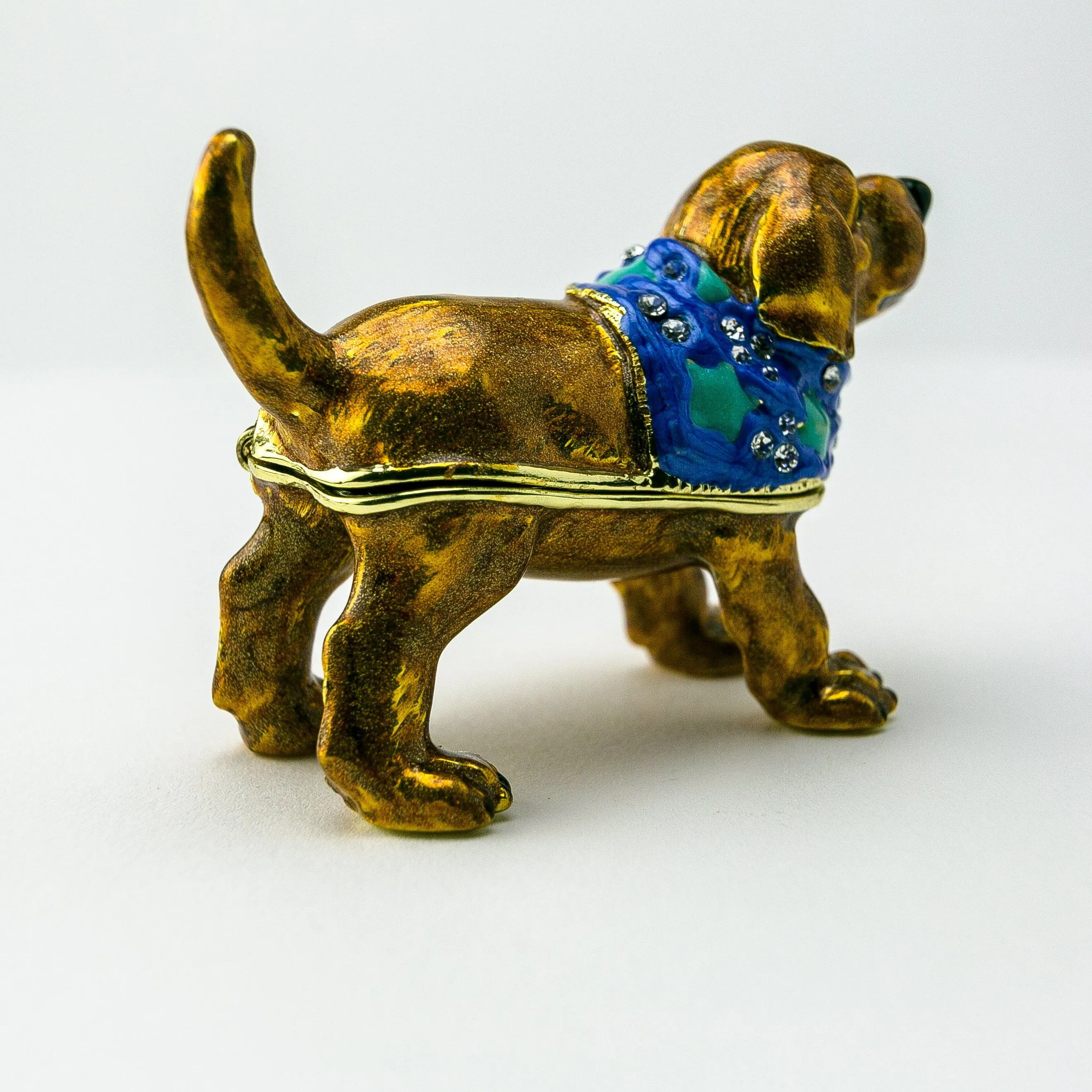 Brown Dog