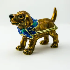 Brown Dog