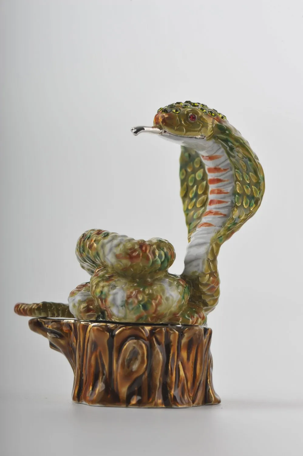 Cobra Snake on Tree Trunk