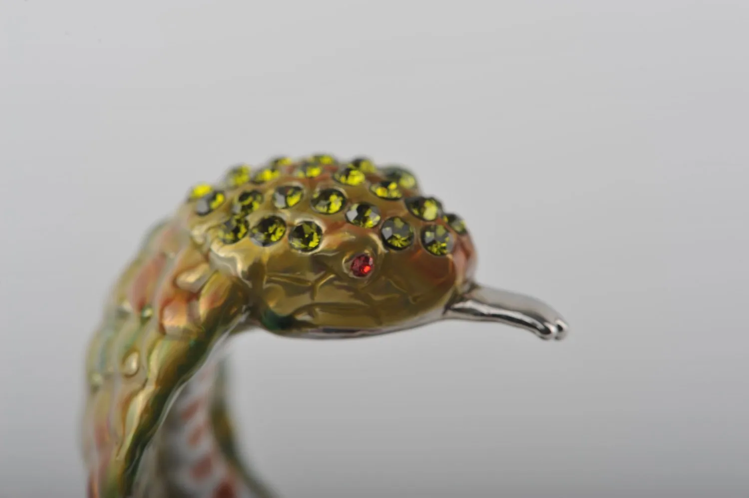 Cobra Snake on Tree Trunk