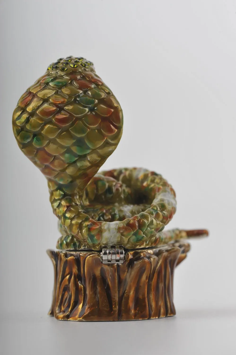 Cobra Snake on Tree Trunk