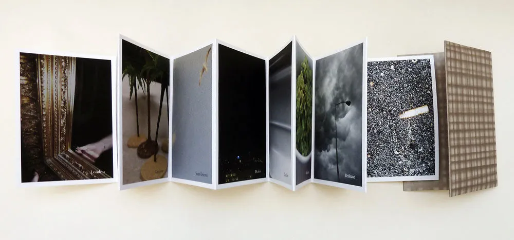 Flowers In Hotel Rooms Volume V by Sarah Bodman