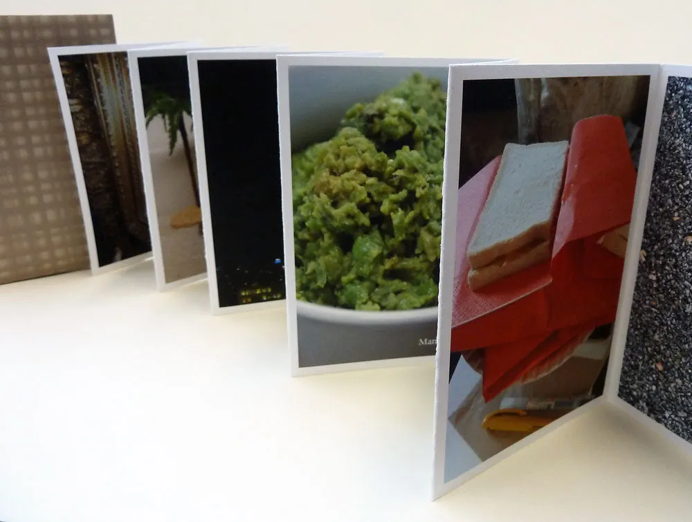Flowers In Hotel Rooms Volume V by Sarah Bodman