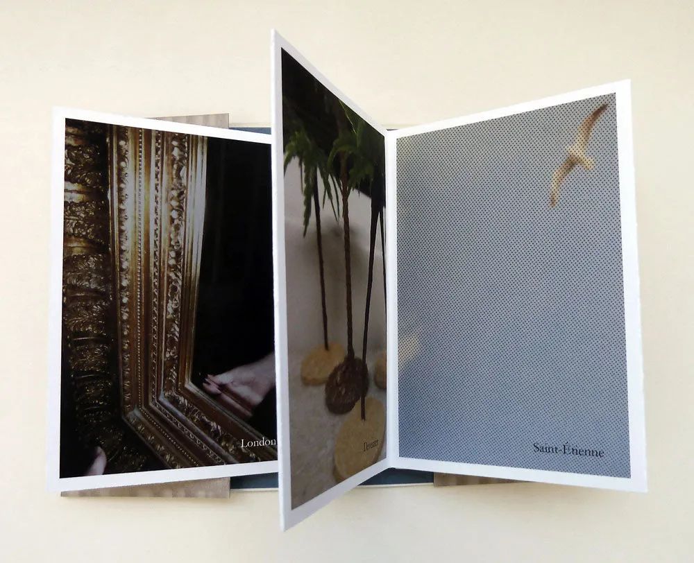 Flowers In Hotel Rooms Volume V by Sarah Bodman