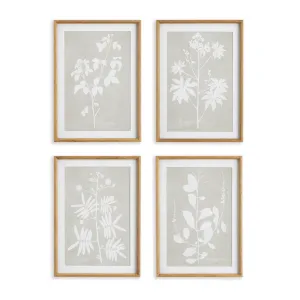 Foliage Study, Set Of 4