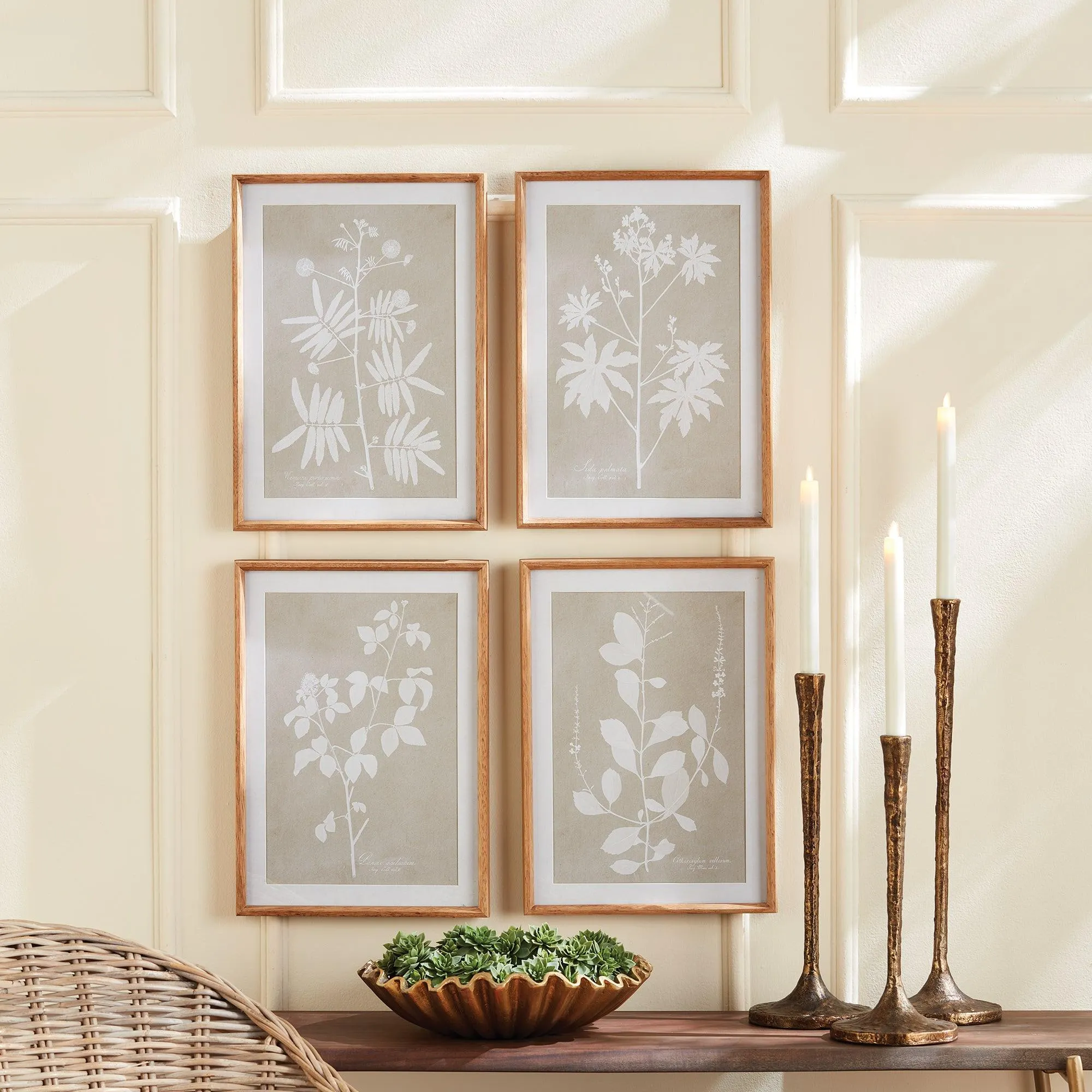 Foliage Study, Set Of 4