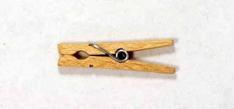 Forster Miniature Beechwood Spring Clothespins 100pcs