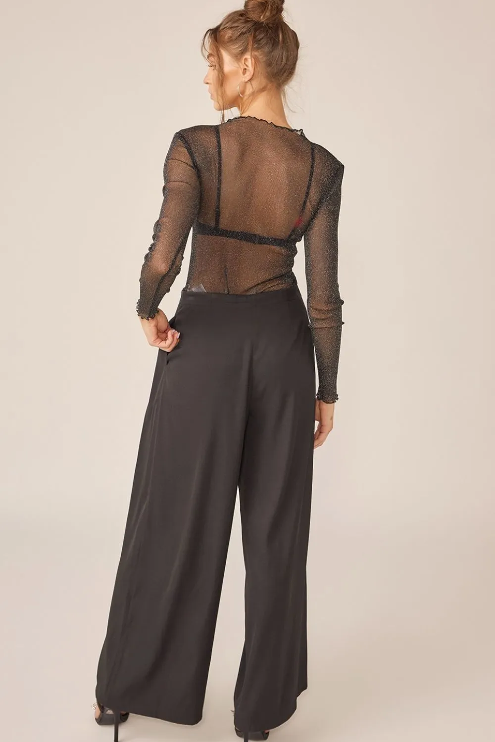 Glitter Long Sleeve Sheer Top