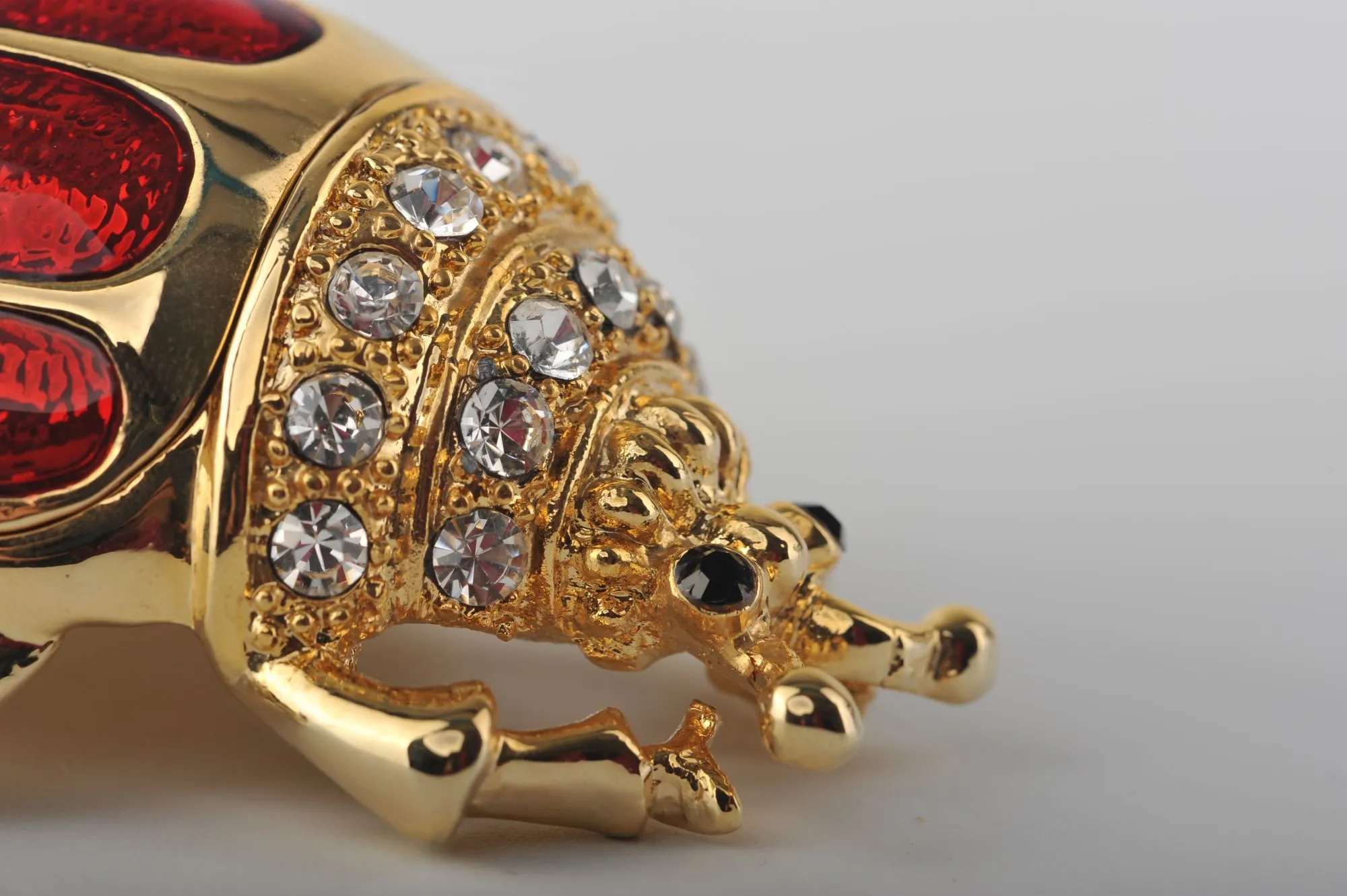 Golden Red Beetle