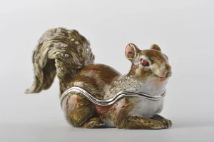 Grey Squirrel with Red Eyes