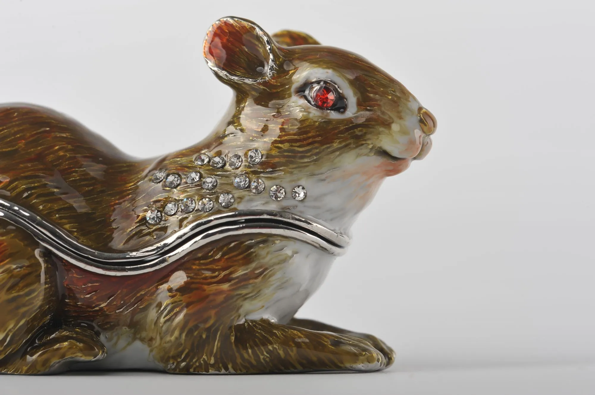 Grey Squirrel with Red Eyes
