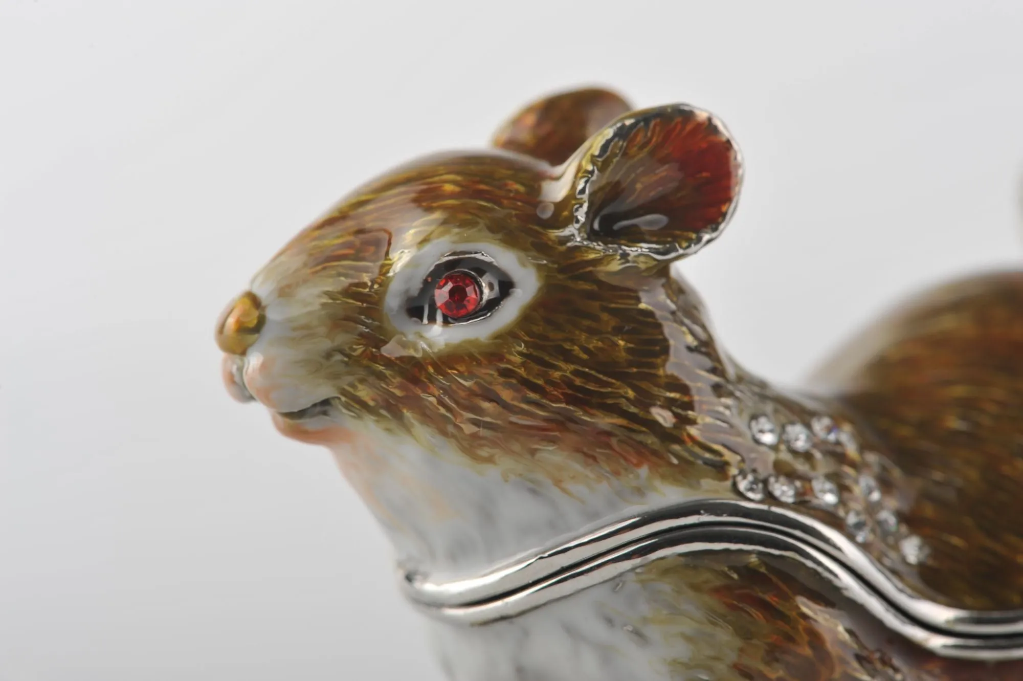 Grey Squirrel with Red Eyes