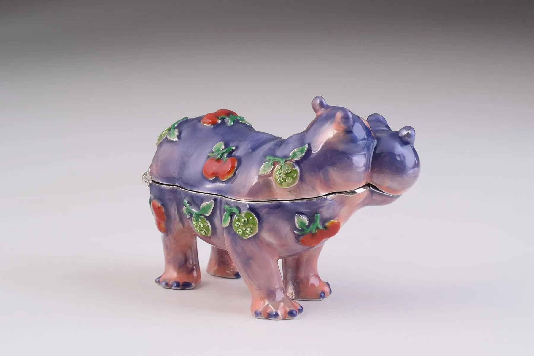 Happy Hippo
