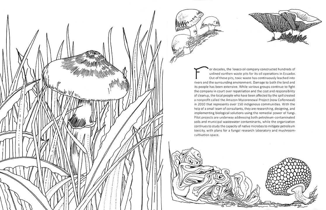 Insight Editions - Fantastic Fungi: The Coloring Book
