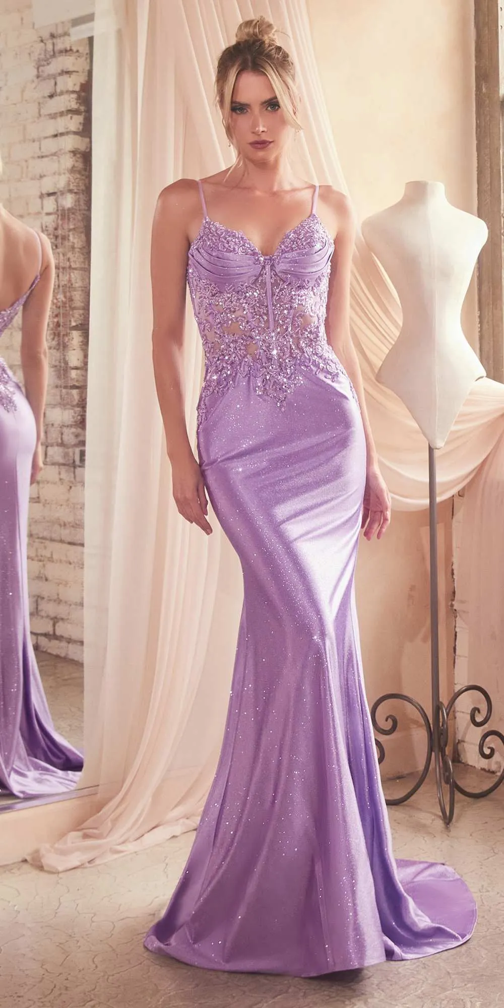Ladivine CDS450 Long Fitted Lace Applique Bodice Sheer Bodice Gown