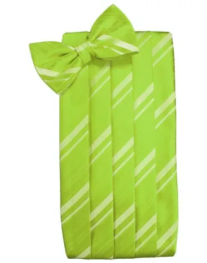 Lime Kids Striped Satin Cummerbund