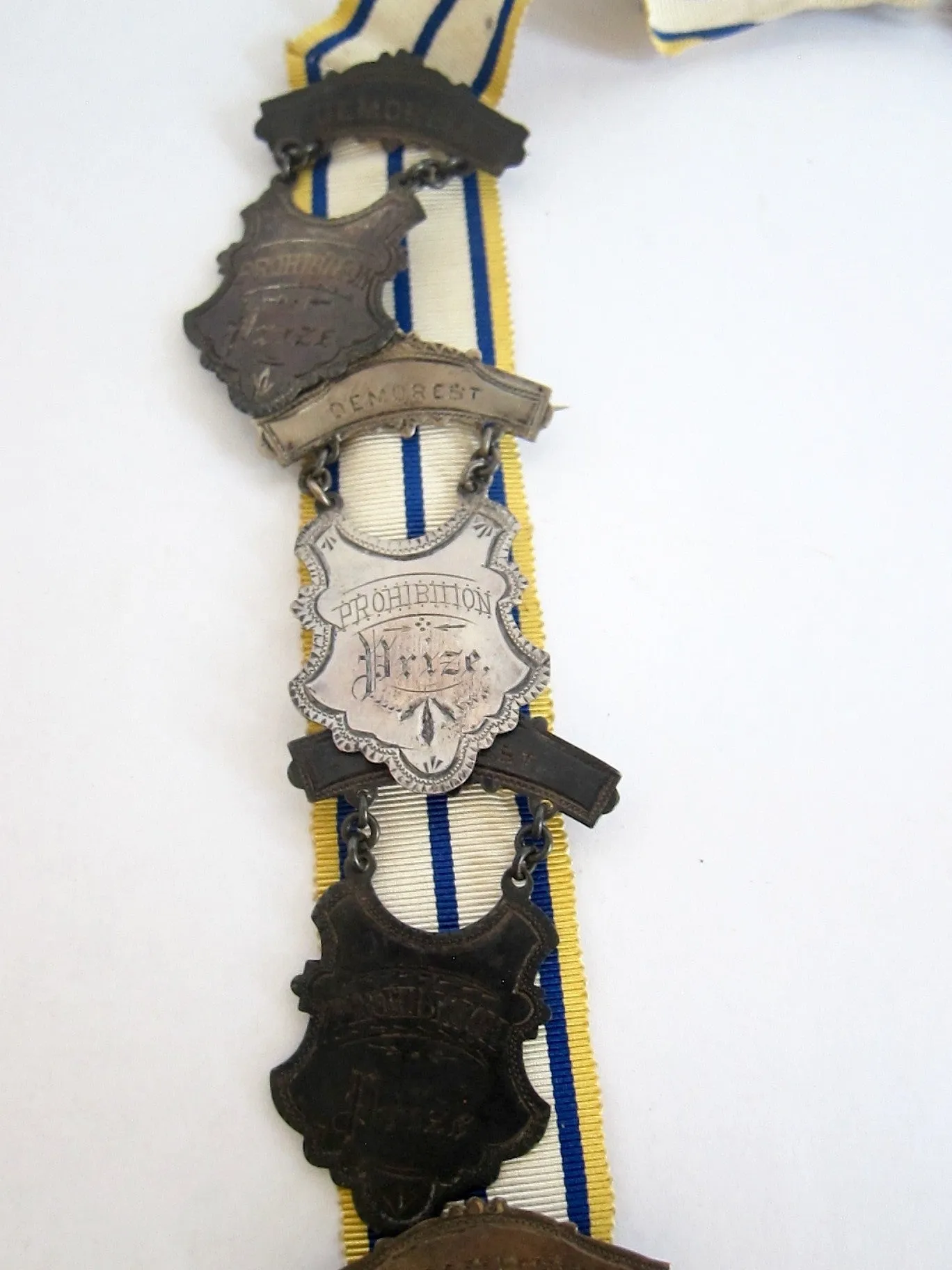 Prohibition Ceremonial Medal Necklace
