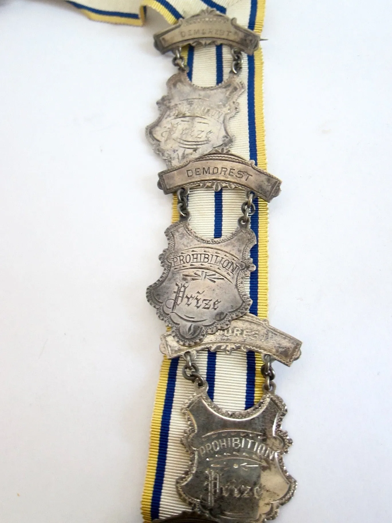 Prohibition Ceremonial Medal Necklace