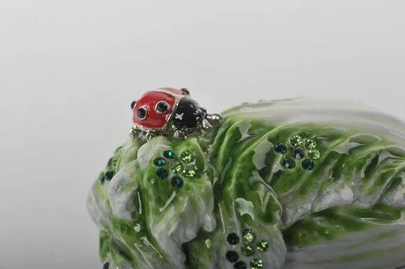 Red Beetle on Green Cabbage