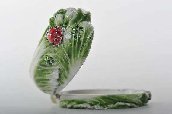 Red Beetle on Green Cabbage
