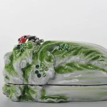 Red Beetle on Green Cabbage