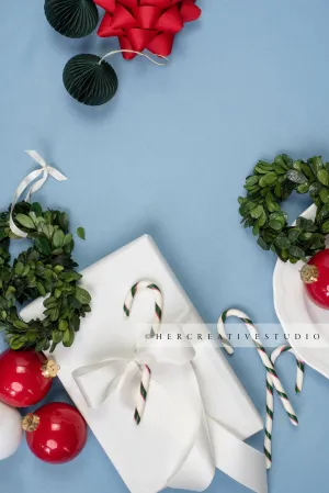 Red Bow, Holiday Home & Wreath on Sky Blue Background