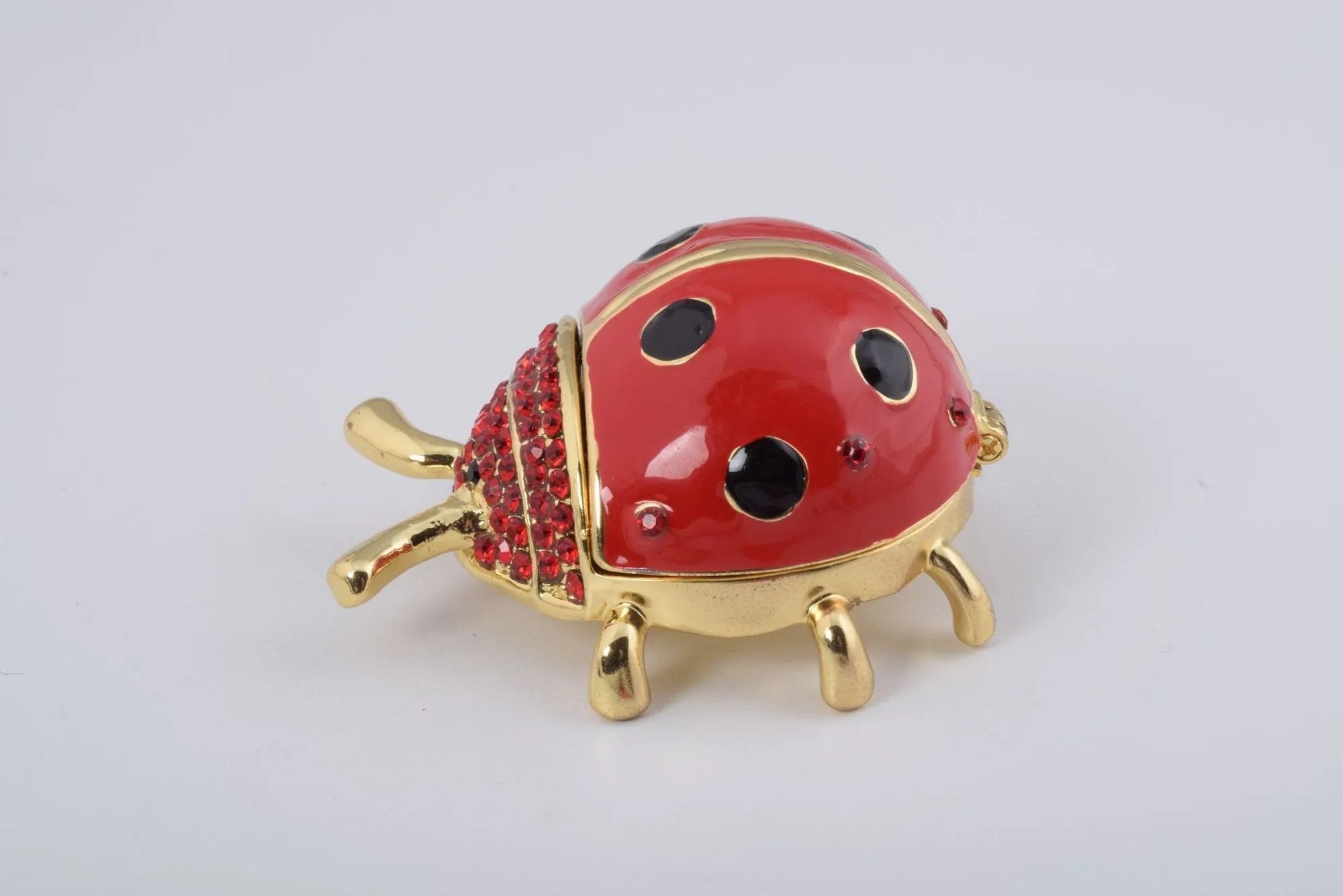 Red Ladybug