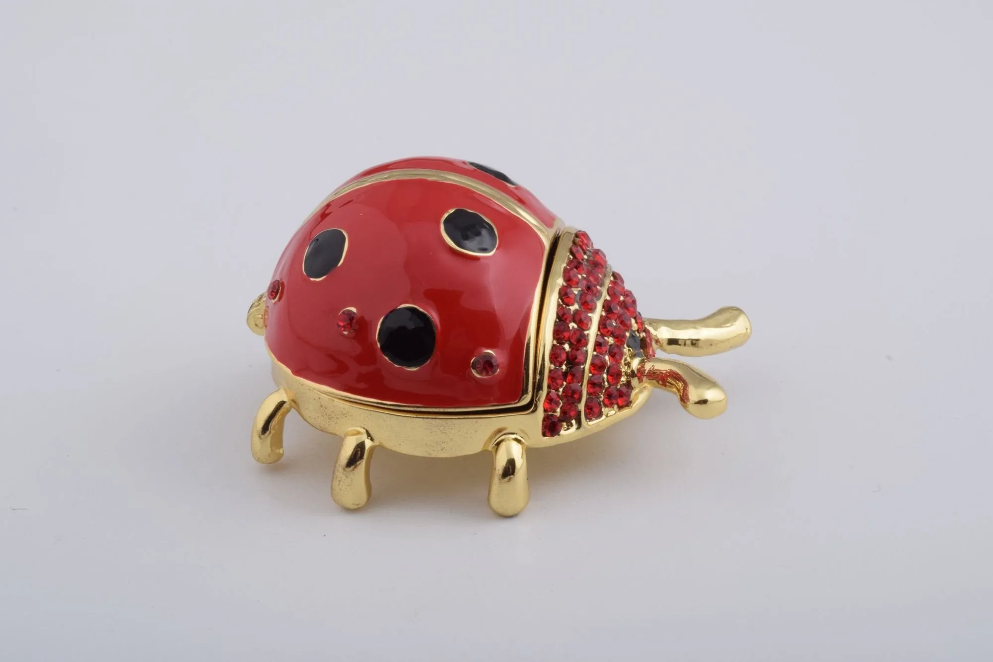 Red Ladybug