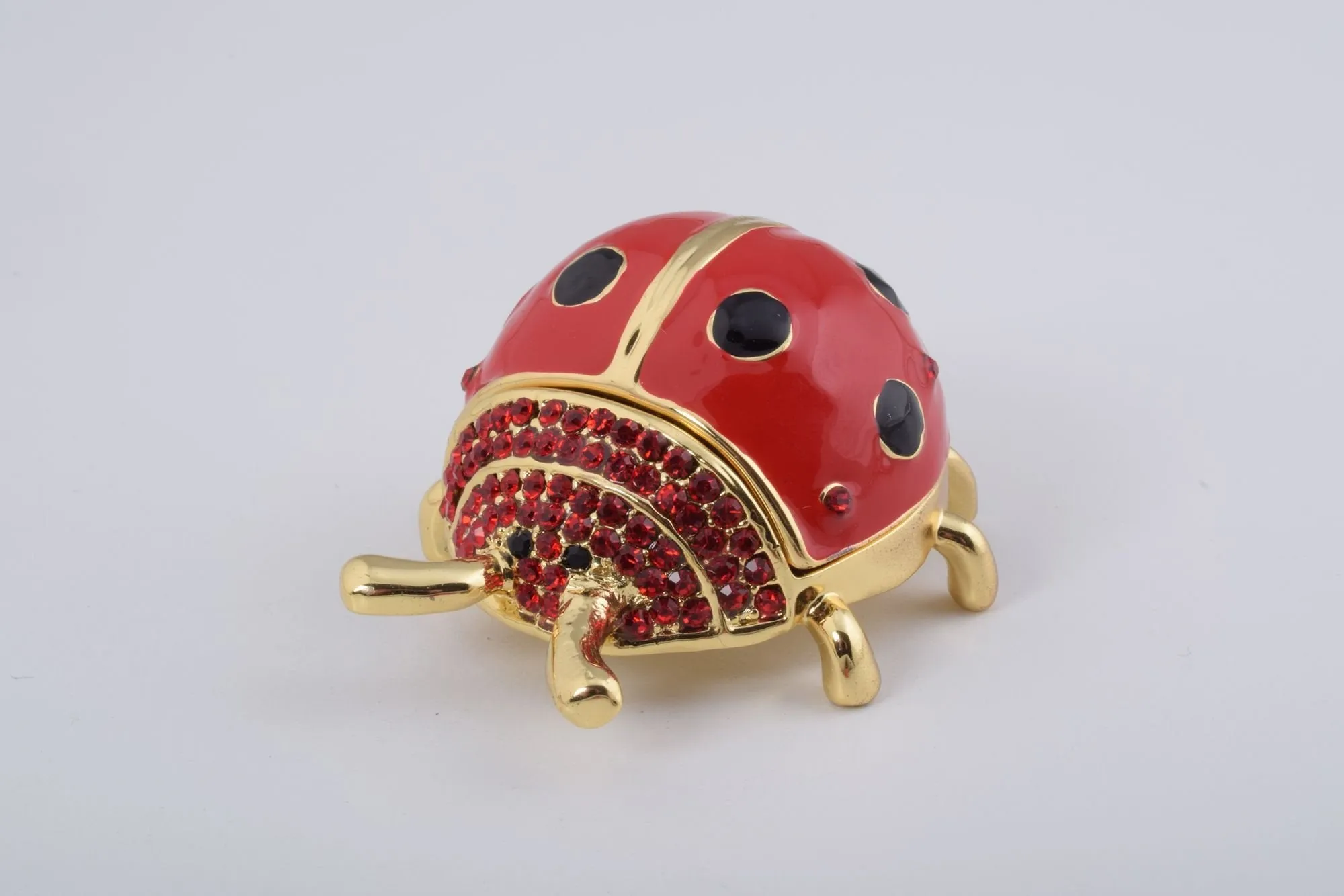 Red Ladybug