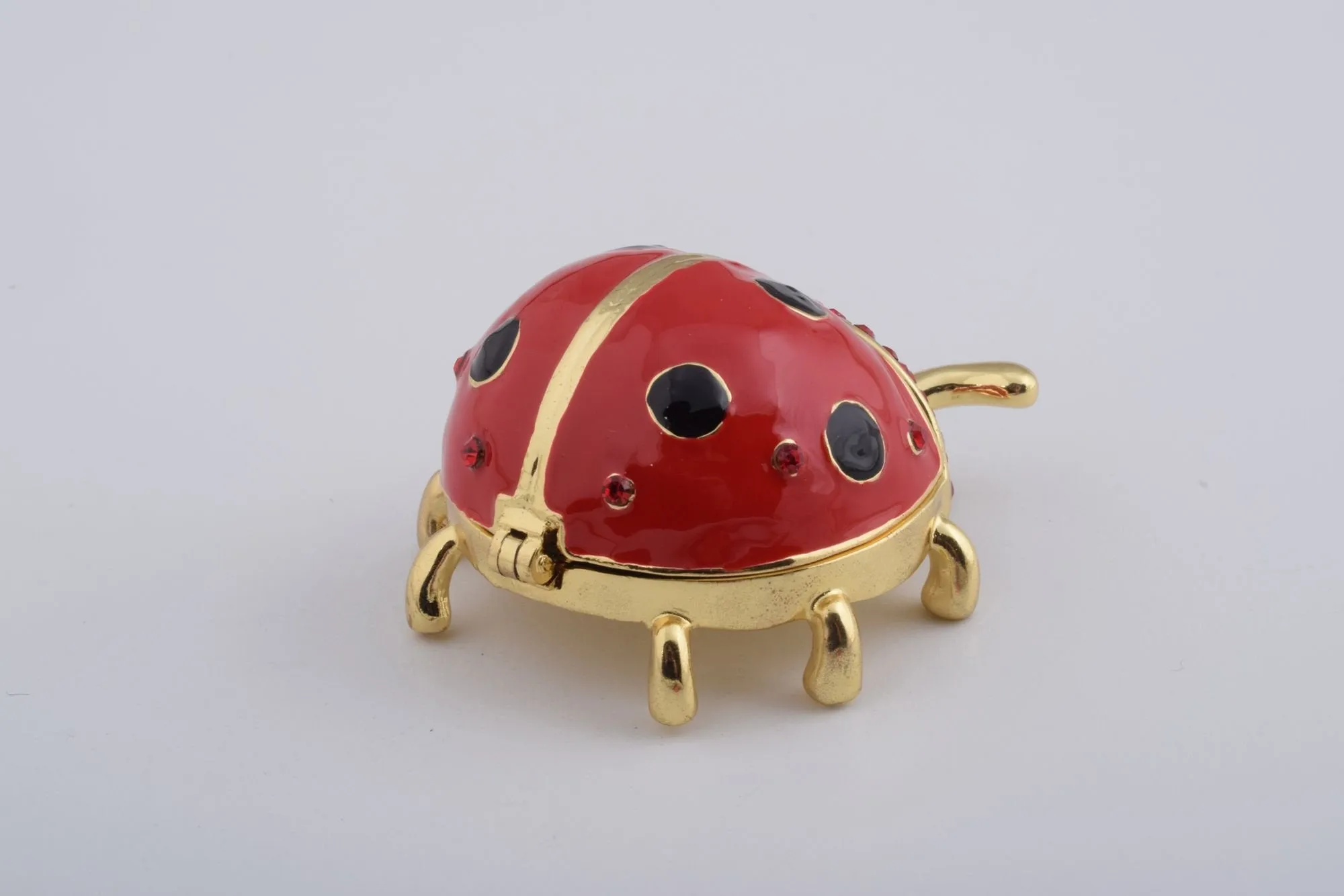 Red Ladybug