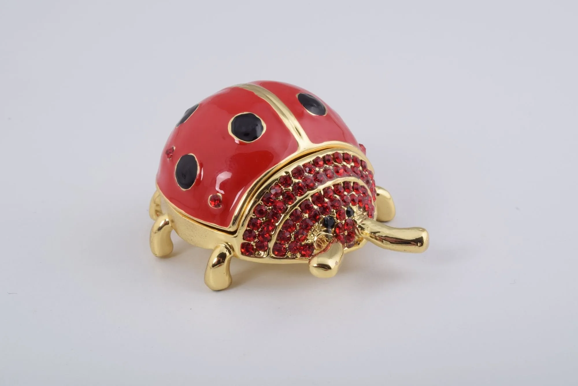 Red Ladybug