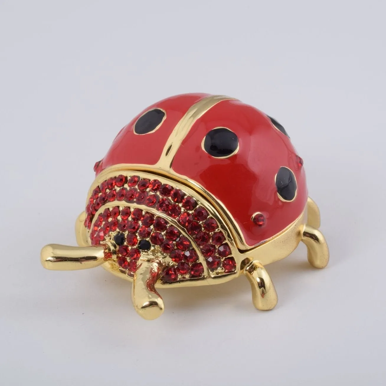 Red Ladybug