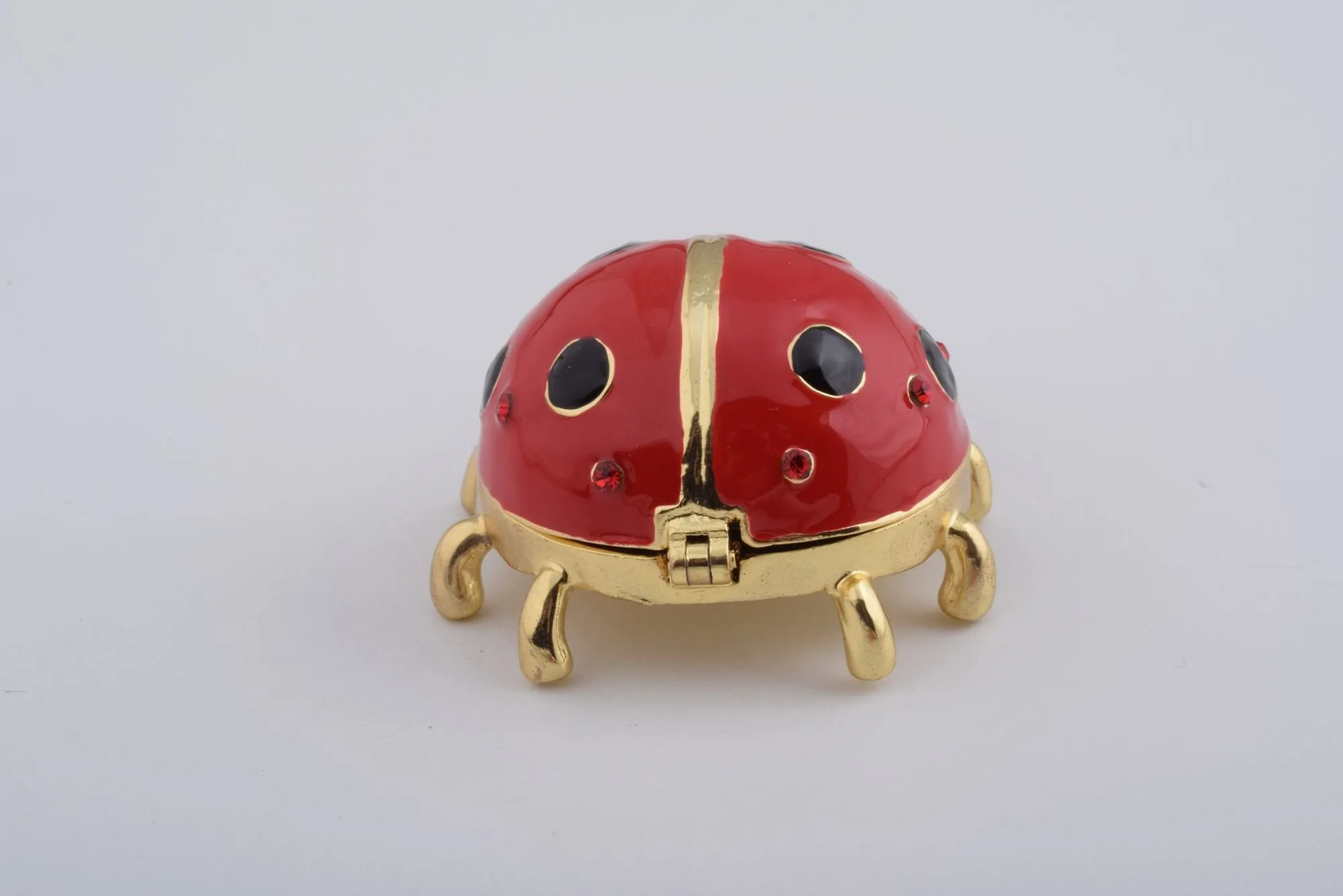 Red Ladybug