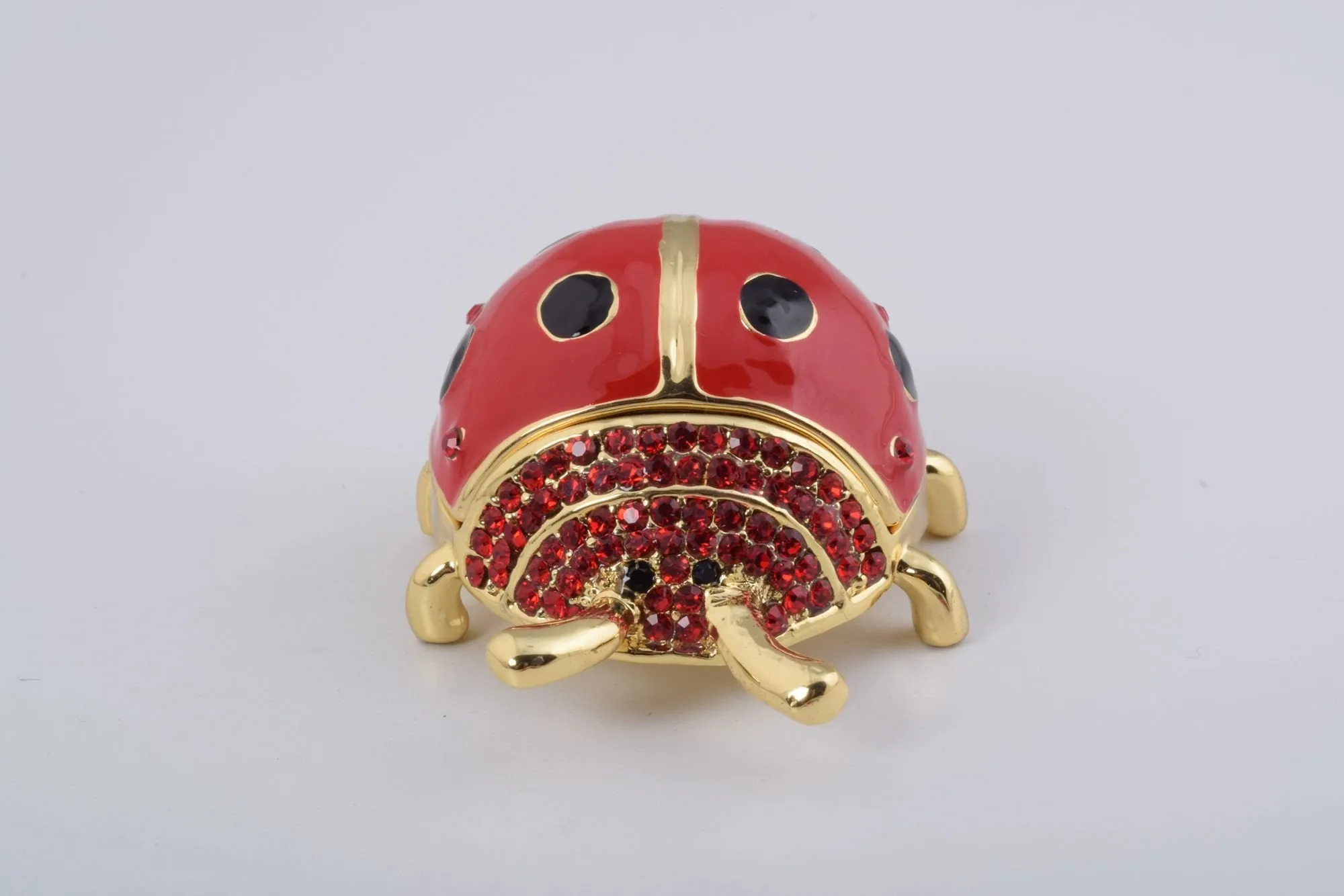 Red Ladybug
