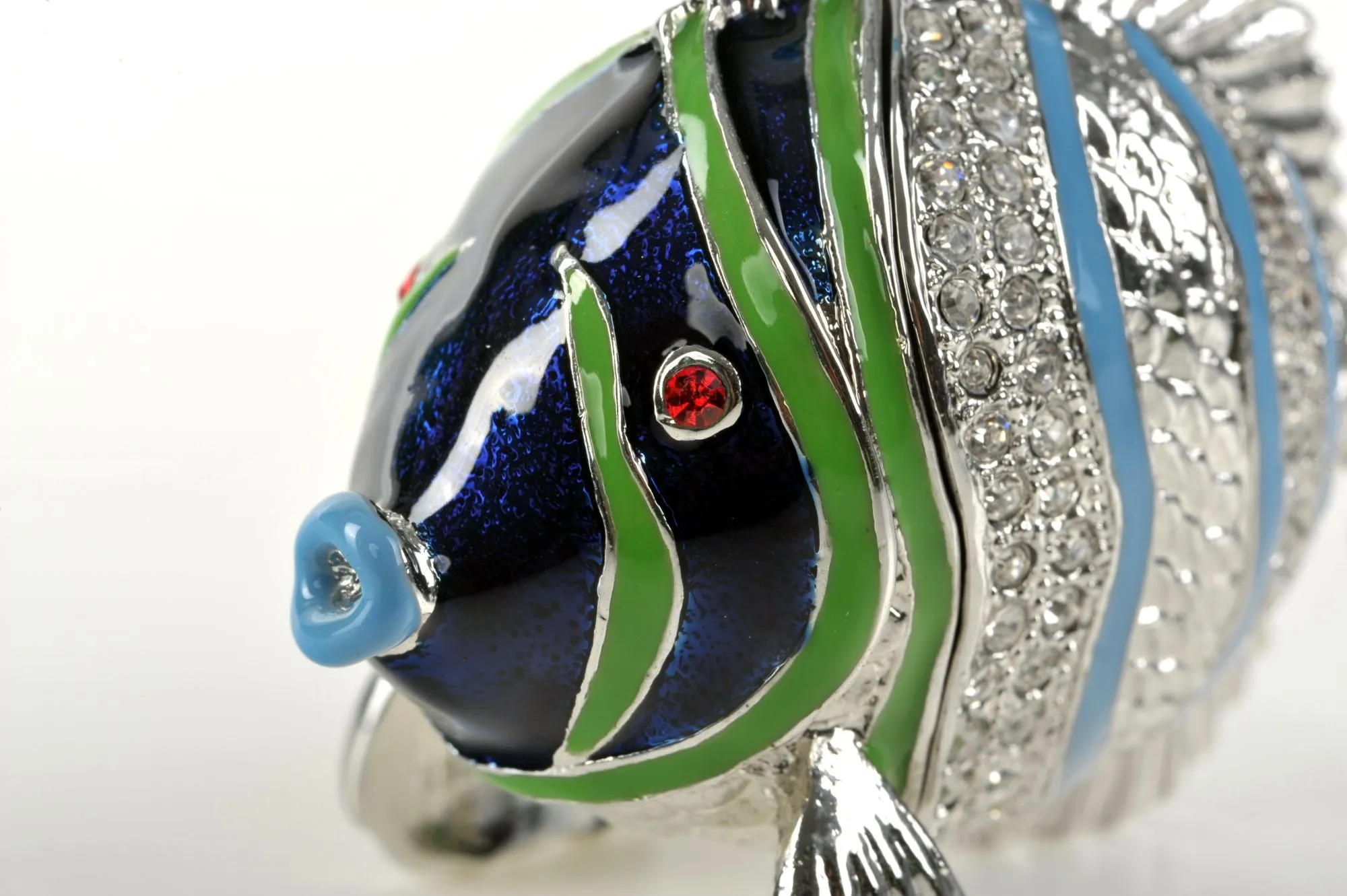 Silver Fish