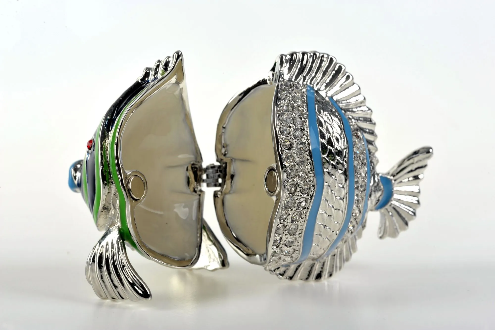 Silver Fish