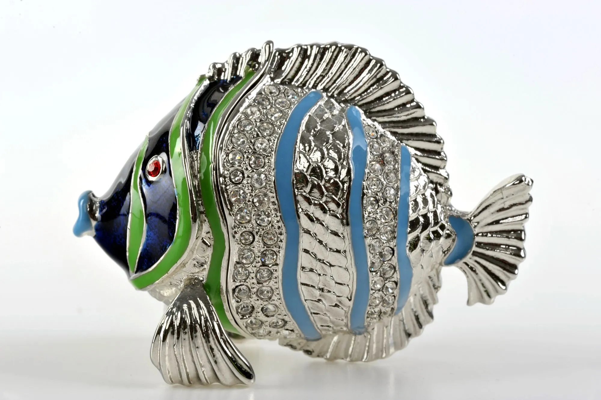 Silver Fish