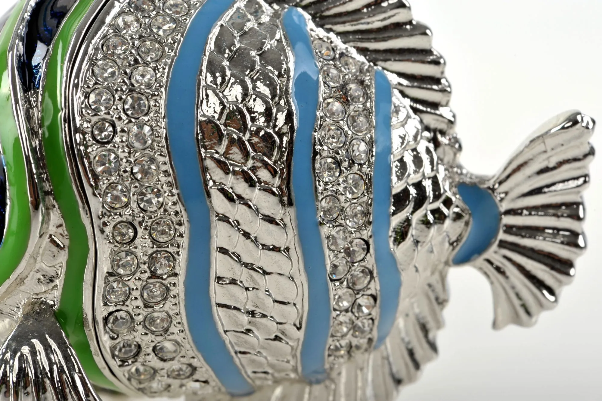 Silver Fish