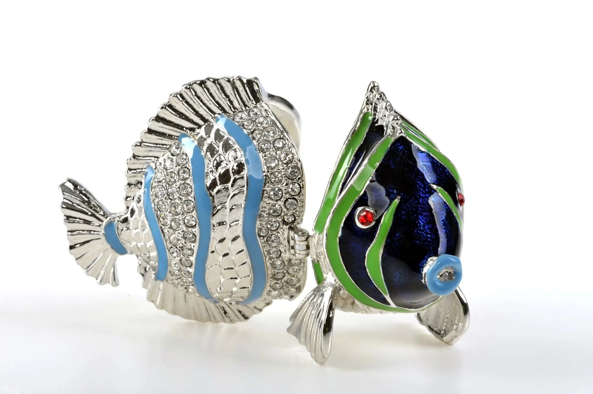 Silver Fish