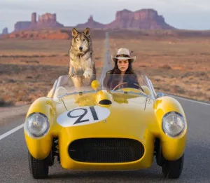 Testarossa (color)