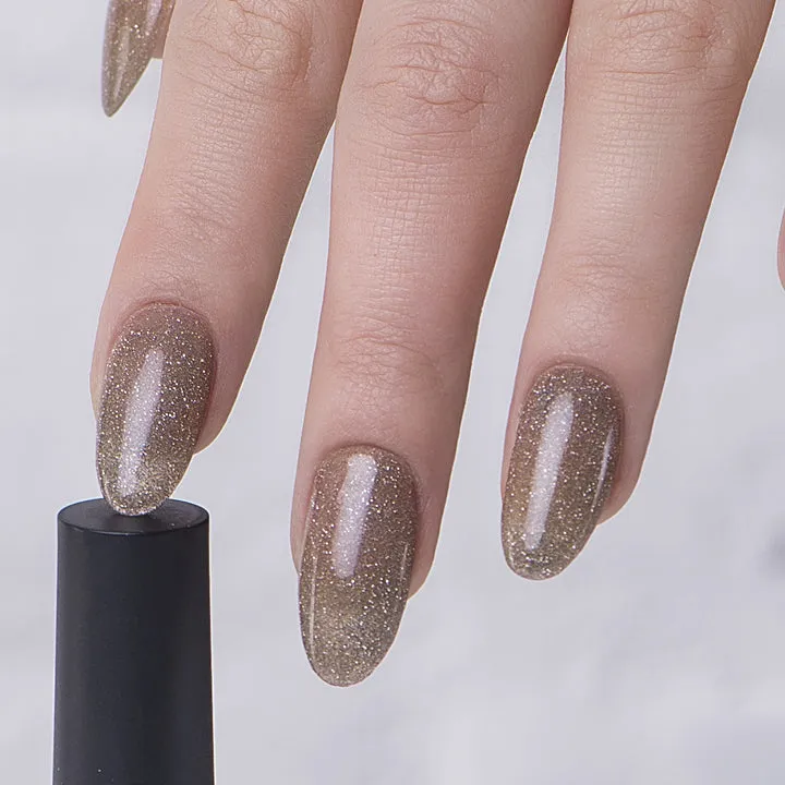 TIMELESS ELEGANCE COLLECTION - EVO
