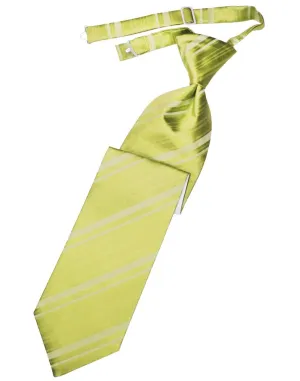 Willow Striped Satin Kids Necktie