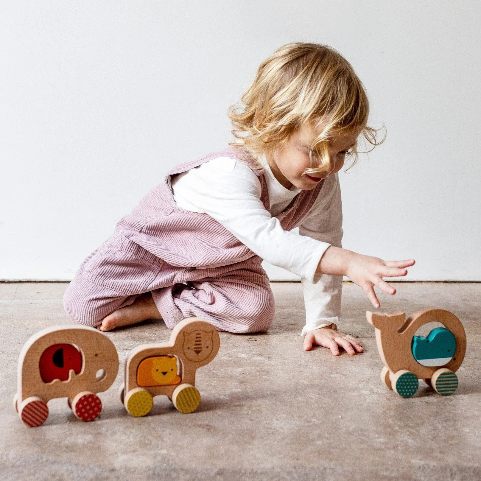 Wooden Push Along Lion Toy