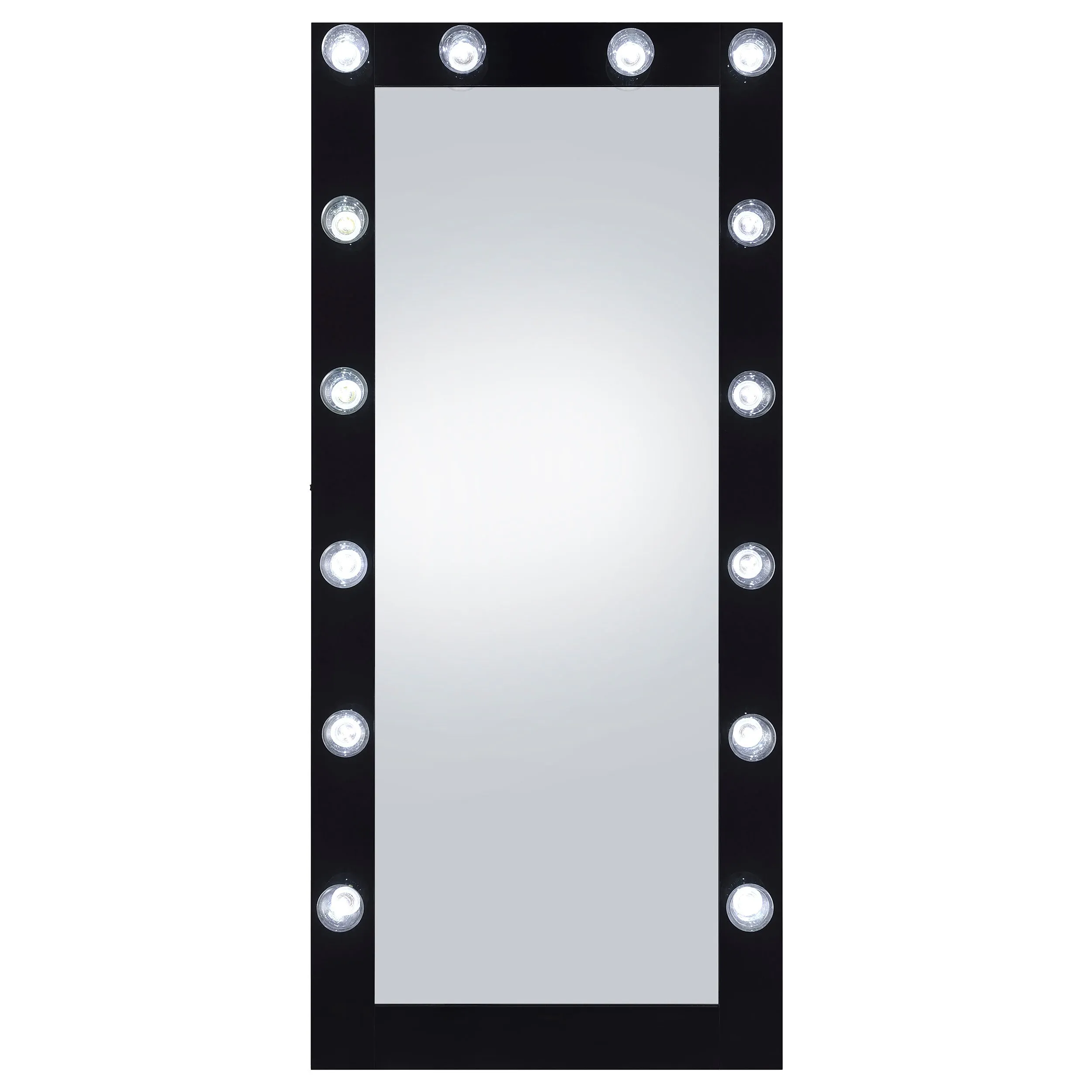 Zayan 32 x 71 Inch Floor Mirror LED Lighting Black Gloss